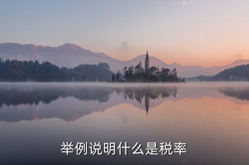 稅率說明是什么意思，稅率是什么意思