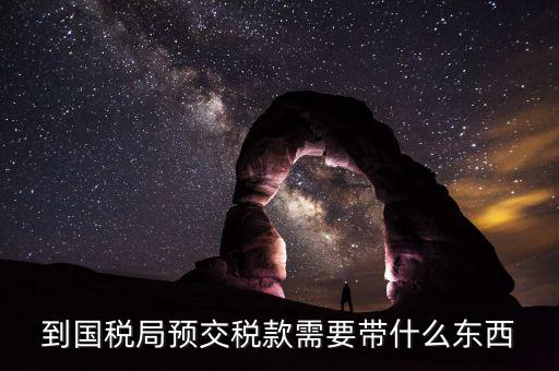 預(yù)繳稅金需要什么資料，到國(guó)稅局預(yù)交稅款需要帶什么東西