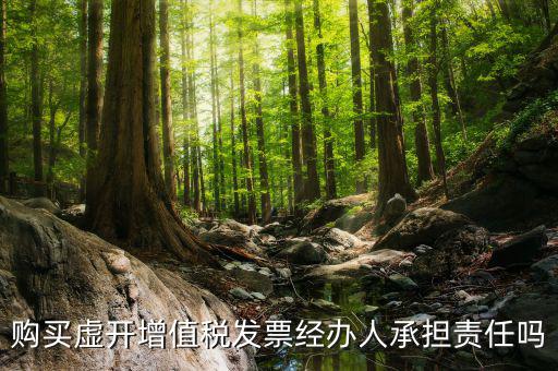 購買虛開增值稅發(fā)票經辦人承擔責任嗎