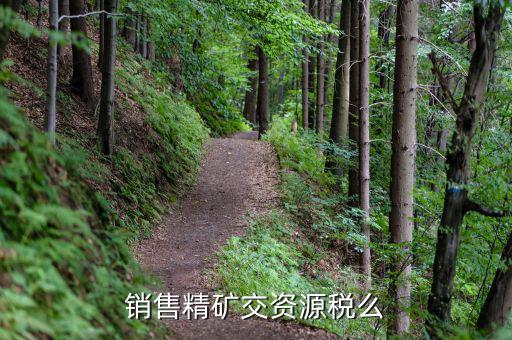 銷(xiāo)售精礦交資源稅么