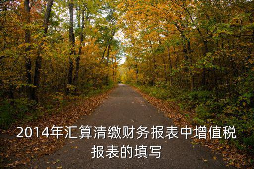 2014年匯算清繳財(cái)務(wù)報(bào)表中增值稅報(bào)表的填寫(xiě)