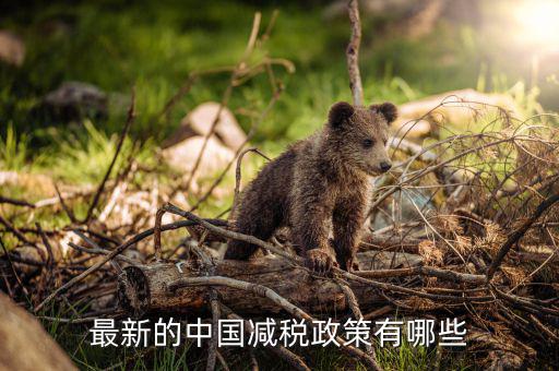 各國減稅結果會是什么，最新的中國減稅政策有哪些