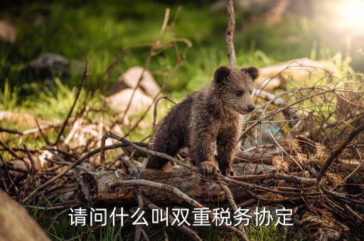 請問什么叫雙重稅務協(xié)定