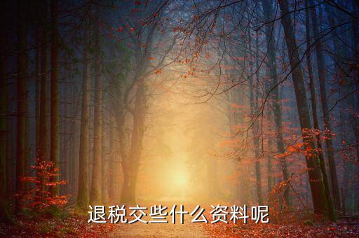 退稅退現(xiàn)金要提供什么資料，退稅交些什么資料呢