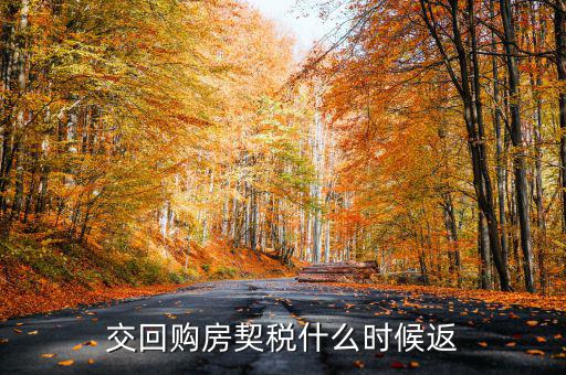 什么時候購的房可以返還契稅，購房契稅何時能退下來