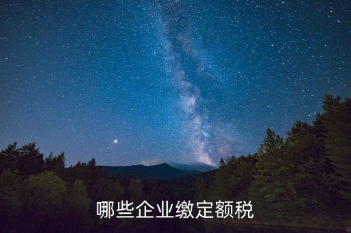 什么公司定額征稅，哪些企業(yè)繳定額稅