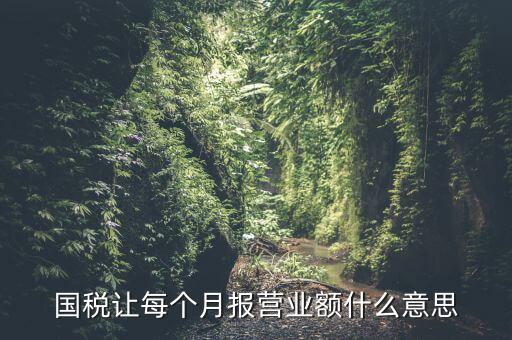 國(guó)稅每月報(bào)稅的是什么意思，請(qǐng)問(wèn)每月抄稅和報(bào)稅各是什么意思