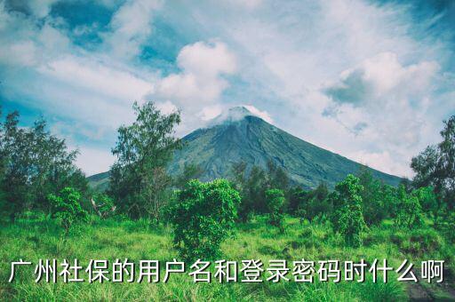 地稅社保用戶名是什么，南京這邊可以國稅扣稅款一個賬號基本戶地稅扣款比如社保