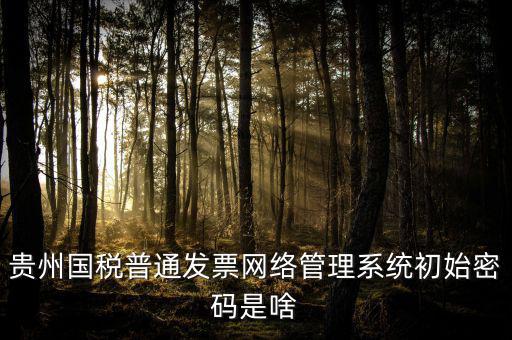 貴州國稅普通發(fā)票網(wǎng)絡管理系統(tǒng)初始密碼是啥