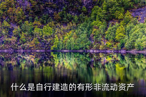 什么叫自建不動產(chǎn)，自建不動產(chǎn)不共擔(dān)風(fēng)險(xiǎn)的投資行為