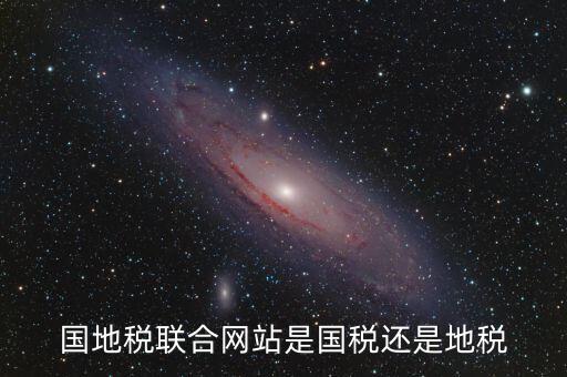 國地稅聯(lián)合辦稅是什么，國地稅聯(lián)合稅費申報什么意思