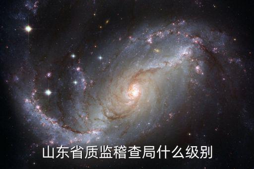 稽查局什么級(jí)別，山東省質(zhì)監(jiān)稽查局什么級(jí)別