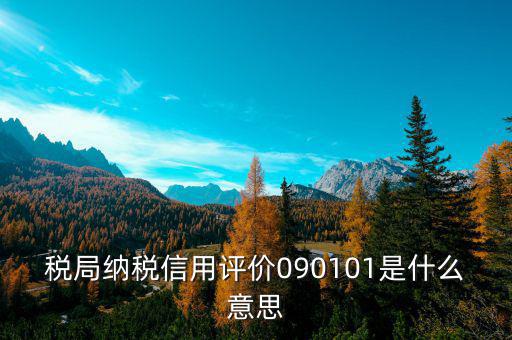 稅局納稅信用評價(jià)090101是什么意思