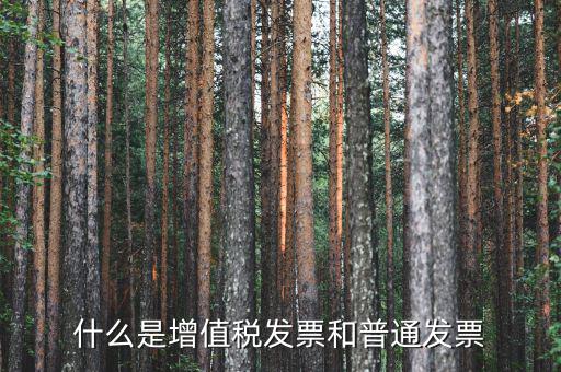 增值稅普通發(fā)票卷票是什么，卷票和普通增值稅發(fā)票有什么區(qū)別嗎