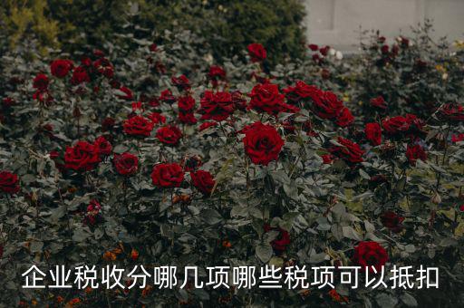 什么可以抵企業(yè)所得稅，什么費(fèi)用可以抵企業(yè)所得稅