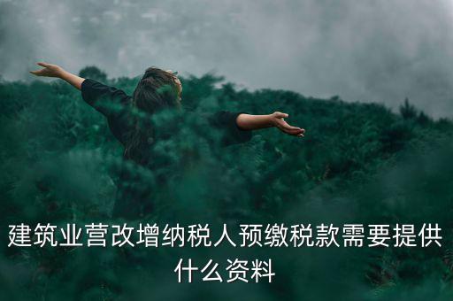 預(yù)繳稅款要什么資料，到國(guó)稅局預(yù)交稅款需要帶什么東西
