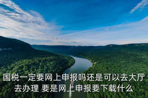 地稅進(jìn)國(guó)稅要下載什么，深圳國(guó)地稅想網(wǎng)上申報(bào)要下載什么東西嗎