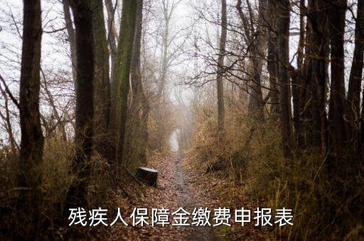殘疾人保障金繳費(fèi)申報表