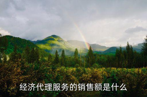 什么是經(jīng)濟(jì)代理，請問什么叫經(jīng)濟(jì)合同代理人