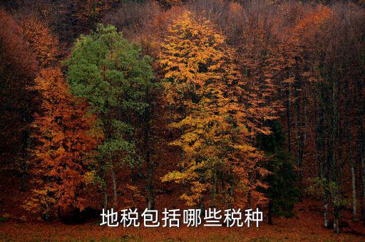 地稅足什么，地稅包括哪些稅種