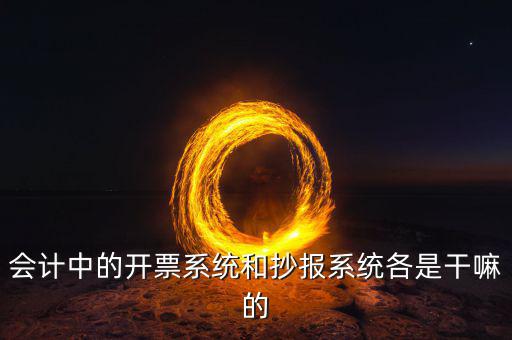 報稅開票系統(tǒng)是什么，什么是開票系統(tǒng)小規(guī)模納稅人有裝開票系統(tǒng)嗎在線等謝謝