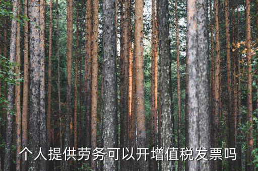 什么是個(gè)人勞務(wù)發(fā)票嗎，個(gè)人開工程勞務(wù)費(fèi)發(fā)票是在工程所在地開具嗎