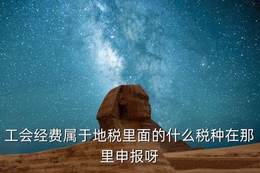 工會(huì)活動(dòng)費(fèi)中稅是什么，工會(huì)經(jīng)費(fèi)屬于地稅里面的什么稅種在那里申報(bào)呀