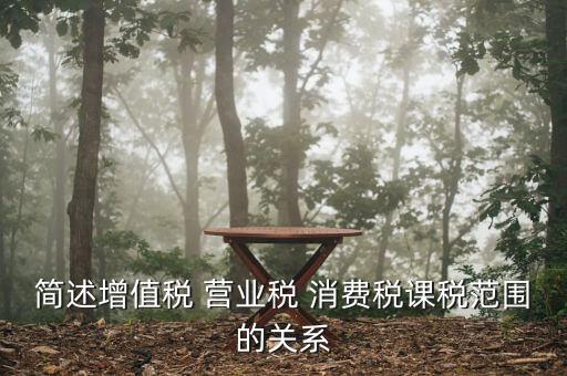 簡(jiǎn)述增值稅 營業(yè)稅 消費(fèi)稅課稅范圍的關(guān)系