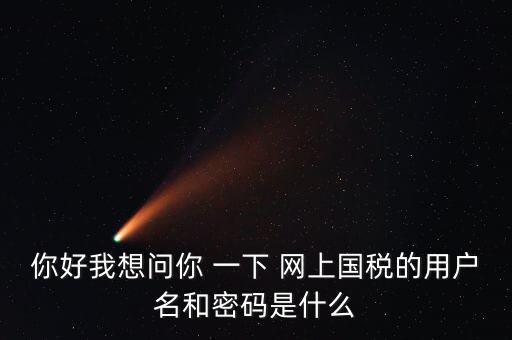 國稅的登錄密碼是什么意思，國稅第一次網(wǎng)上申報的登陸密碼是什么