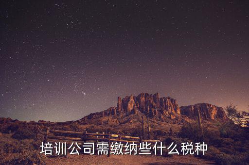 培訓(xùn)機(jī)構(gòu)依據(jù)什么納稅，培訓(xùn)單位按什么標(biāo)準(zhǔn)納稅