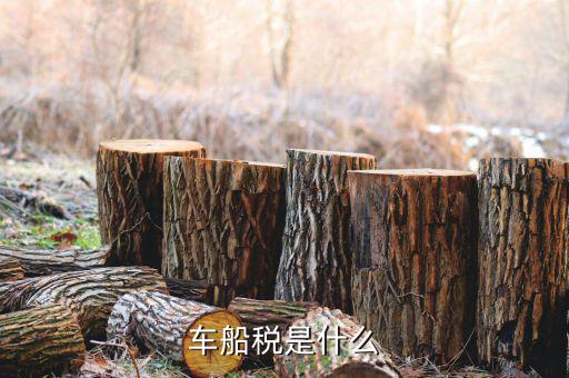 保險的車船稅是什么意思，車船稅是什么