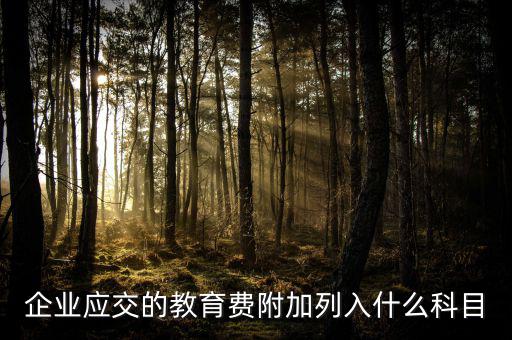 教育費(fèi)附加干什么，教育費(fèi)附加代表什么意思