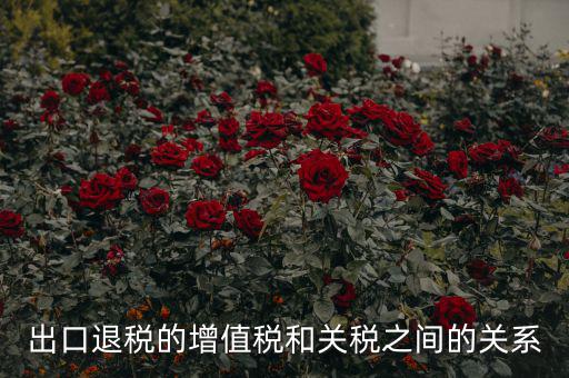出口關(guān)稅和什么有關(guān)系，出口退稅與進(jìn)口增值稅有什么關(guān)系