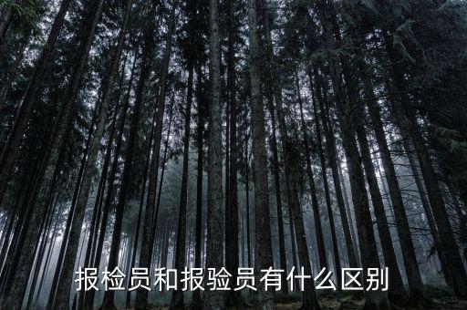 報驗企業(yè)是什么意思，外埠納稅人經(jīng)營地報驗登記是什么意思