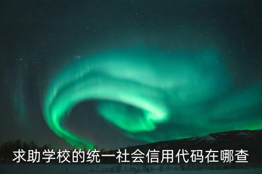 學(xué)校的社會(huì)信用代碼是什么東西，求助學(xué)校的統(tǒng)一社會(huì)信用代碼在哪查