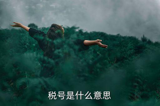 納稅號碼是什么意思，稅號是什么意思
