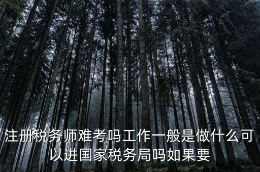 什么是稅務(wù)師，注冊(cè)稅務(wù)師能干什么待遇怎么樣