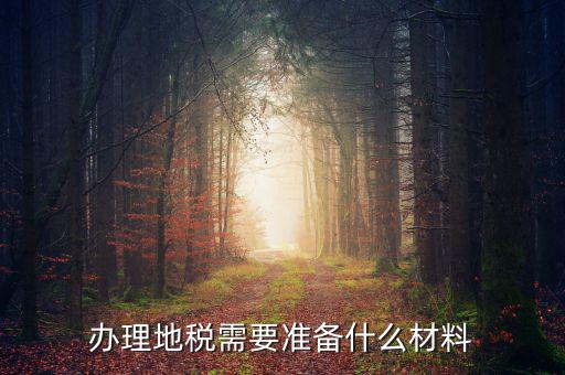 地稅定稅需要什么材料，辦理地稅需要準備什么材料