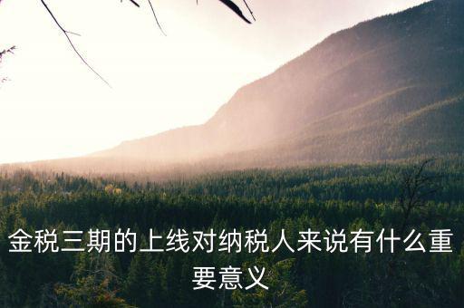 金稅三期的重點(diǎn)是什么意思，金稅三期是什么意思