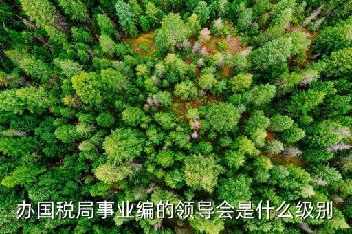 國稅局主任是什么職位，國稅局辦公室人員