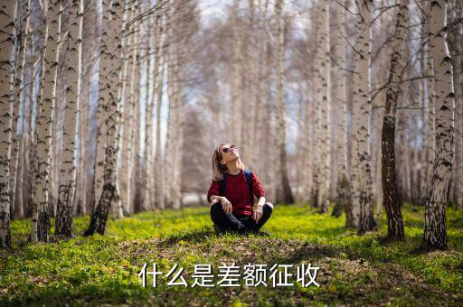 勞務費差額征稅是什么意思，差額稅是啥東西