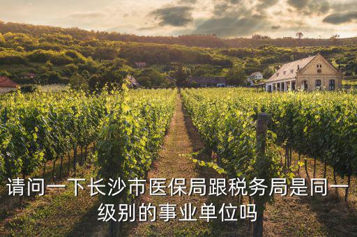 國稅局是什么醫(yī)保，請(qǐng)問一下長沙市醫(yī)保局跟稅務(wù)局是同一級(jí)別的事業(yè)單位嗎