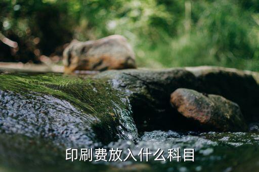 印花費記什么科目，印花稅記入哪個科目