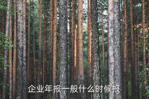 財務(wù)年報什么時候報，企業(yè)財務(wù)會計報告什么時間出具