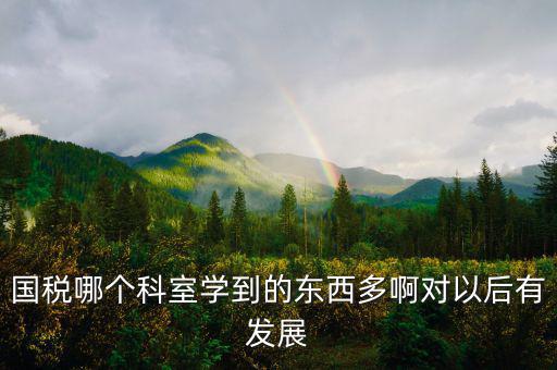 國(guó)稅有什么科室，國(guó)稅哪個(gè)科室學(xué)到的東西多啊對(duì)以后有發(fā)展