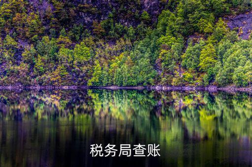 涉稅中介是什么意思，招標代理是什么意思