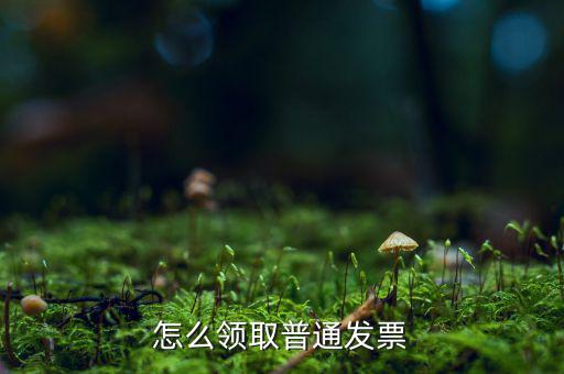 普通發(fā)票在什么地方領(lǐng)，怎么領(lǐng)取普通發(fā)票