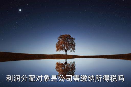 利潤分配對(duì)象是公司需繳納所得稅嗎