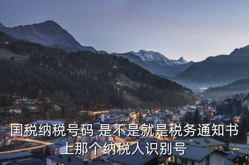 國(guó)稅納稅號(hào)碼 是不是就是稅務(wù)通知書上那個(gè)納稅人識(shí)別號(hào)