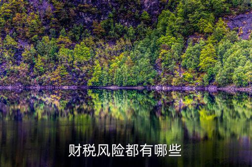 財(cái)稅問(wèn)題有什么，請(qǐng)教財(cái)稅的基礎(chǔ)問(wèn)題謝謝很簡(jiǎn)單的